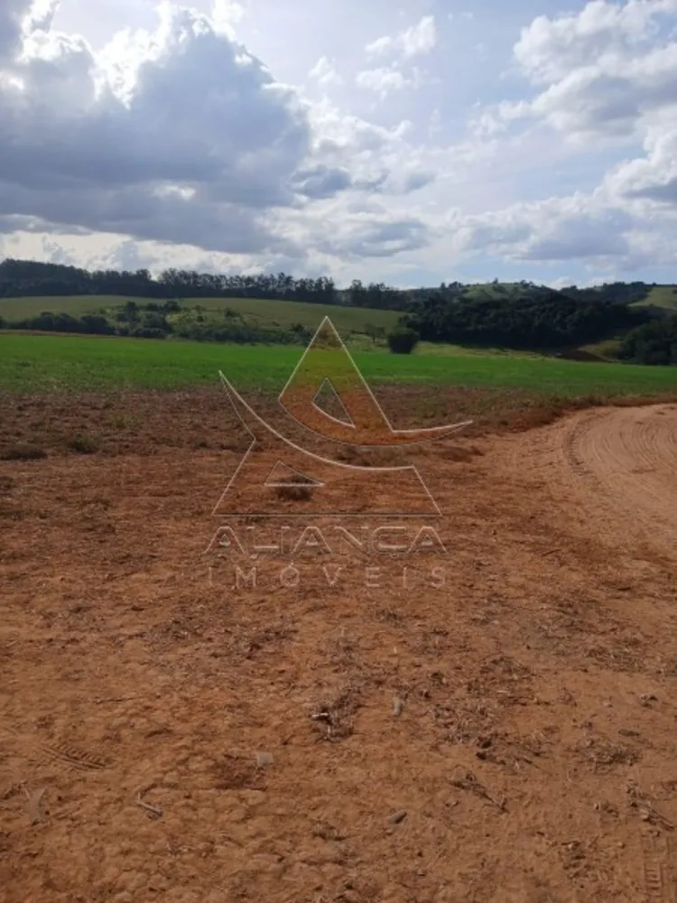 Fazenda, 140 hectares - Foto 7