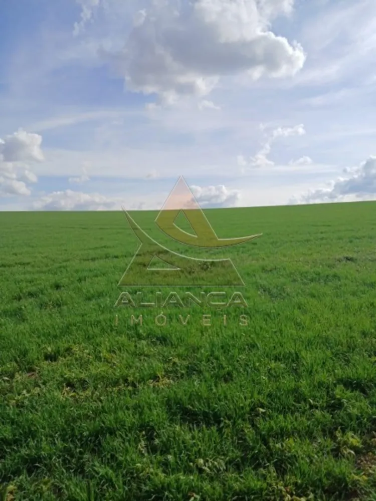 Fazenda, 140 hectares - Foto 3