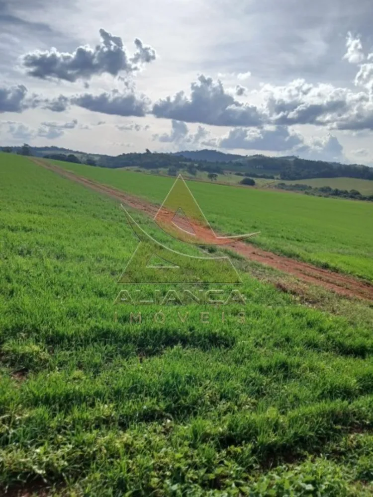 Fazenda, 140 hectares - Foto 4