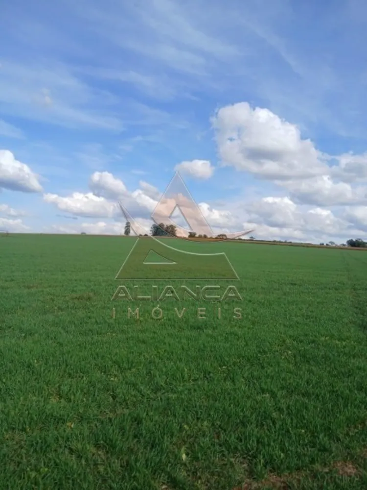Fazenda, 140 hectares - Foto 2