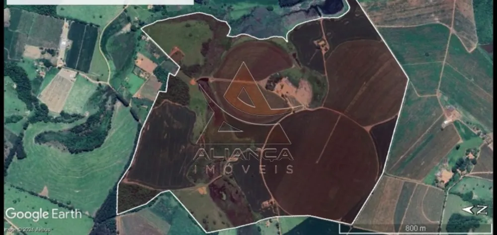 Fazenda, 140 hectares - Foto 8