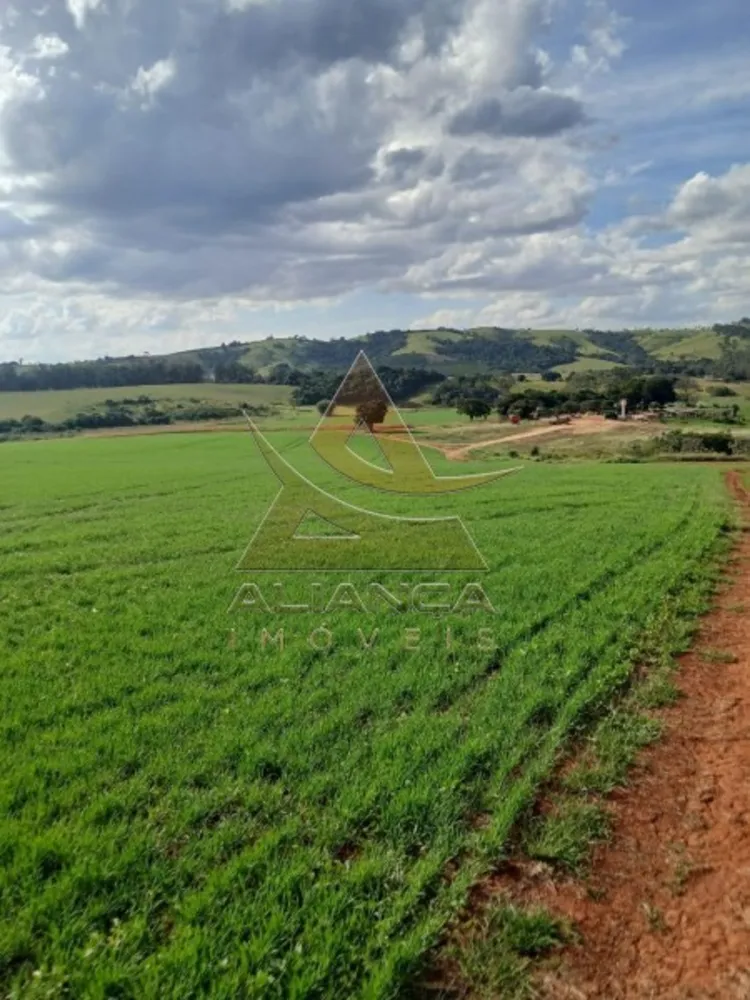 Fazenda, 140 hectares - Foto 1