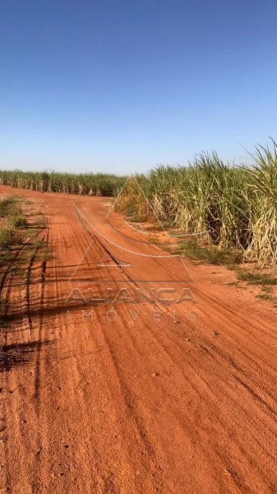 Fazenda, 893 hectares - Foto 7