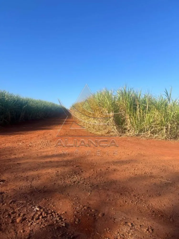 Fazenda, 893 hectares - Foto 8