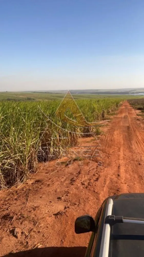 Fazenda, 893 hectares - Foto 4