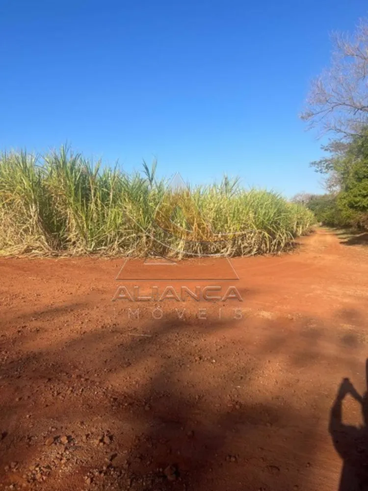 Fazenda, 893 hectares - Foto 2