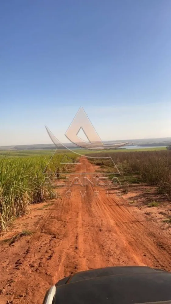 Fazenda, 893 hectares - Foto 2