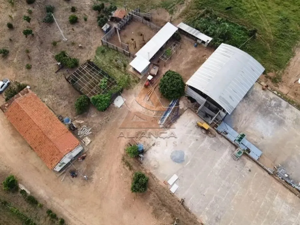 Fazenda, 90 hectares - Foto 3