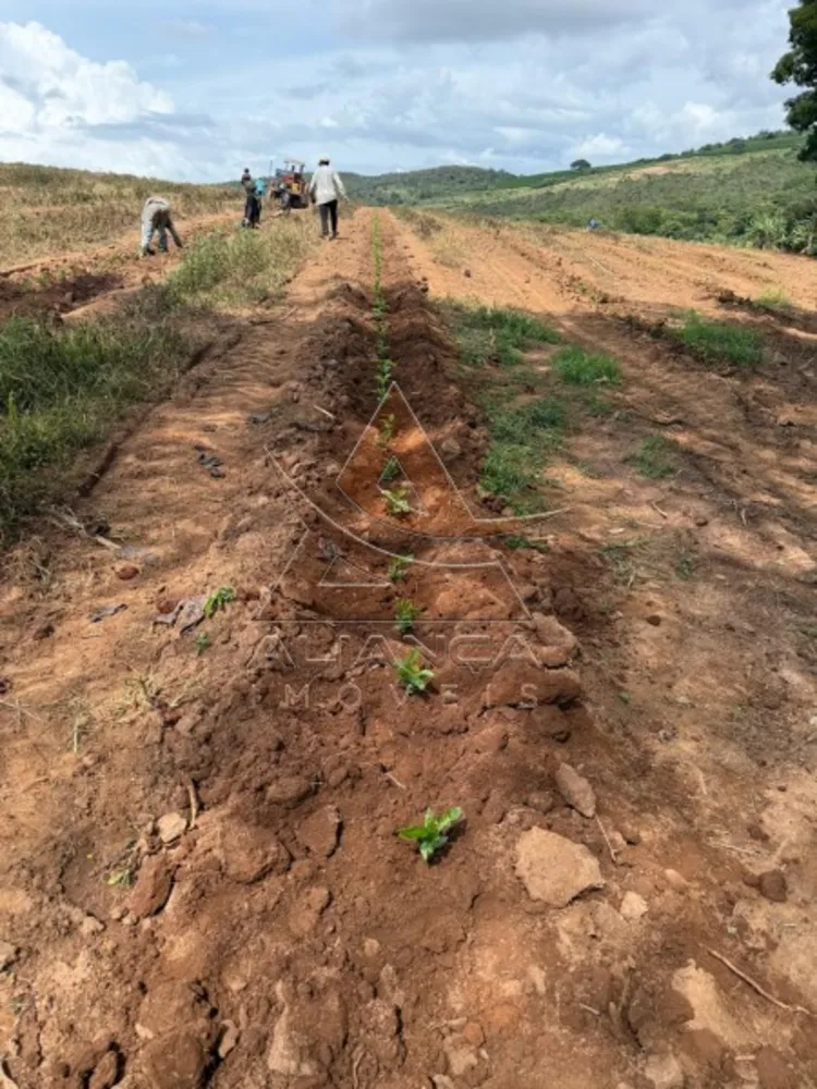 Fazenda, 90 hectares - Foto 6