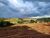 Fazenda, 315 hectares - Foto 3