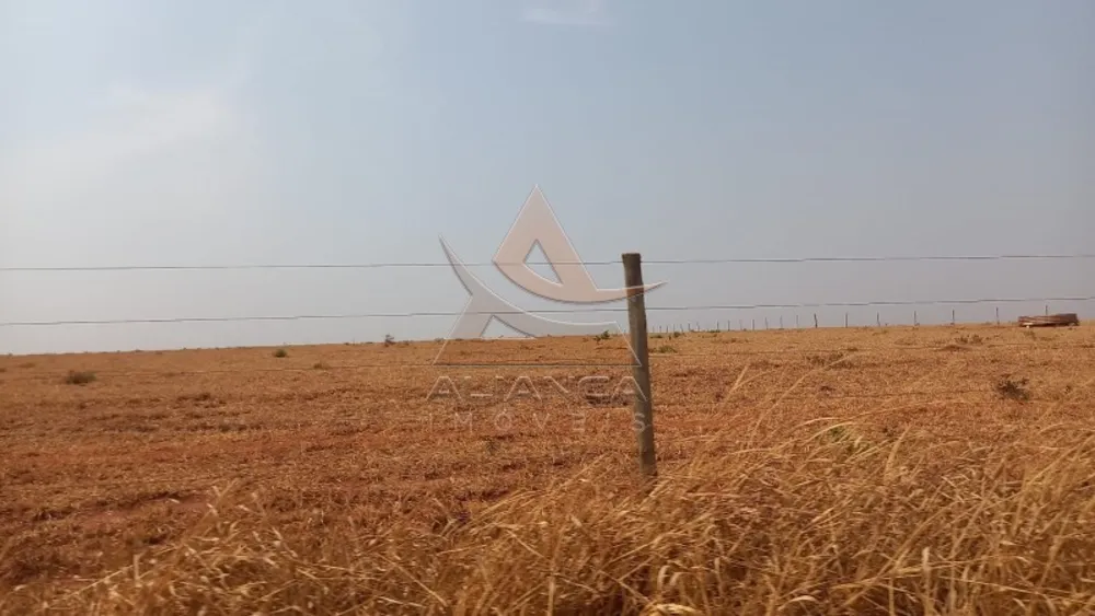 Fazenda, 1452 hectares - Foto 7