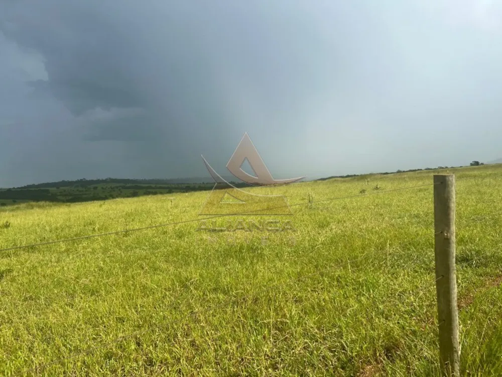 Fazenda, 1452 hectares - Foto 1