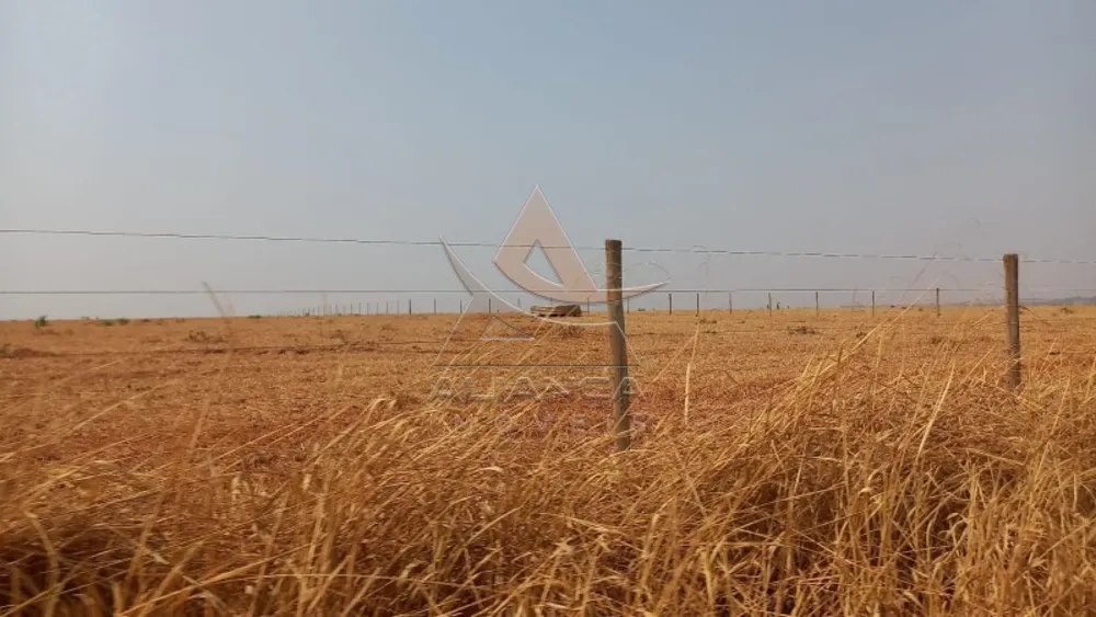 Fazenda, 1452 hectares - Foto 3