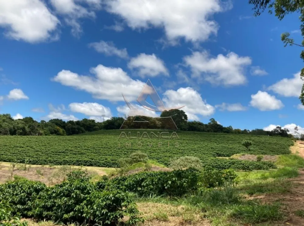Fazenda, 346 hectares - Foto 1