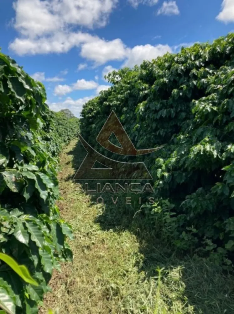 Fazenda, 346 hectares - Foto 7