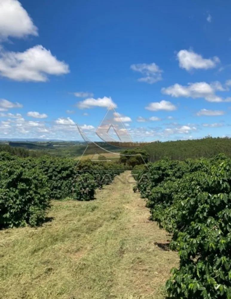 Fazenda, 346 hectares - Foto 5