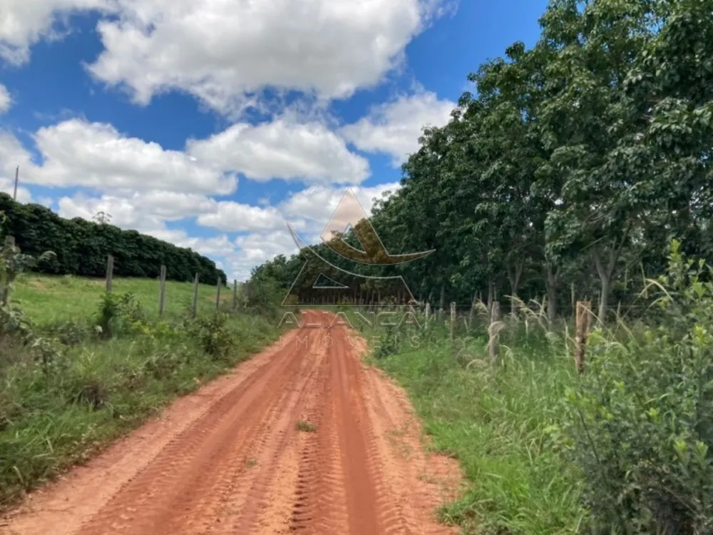 Fazenda, 346 hectares - Foto 3