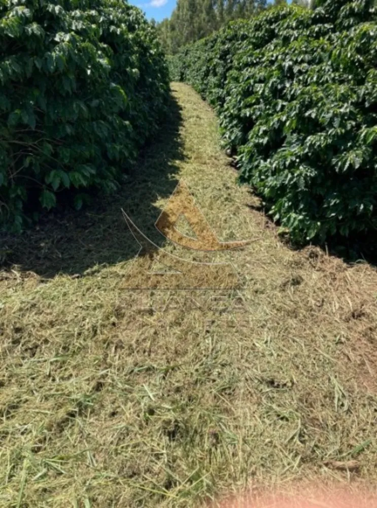Fazenda, 346 hectares - Foto 6