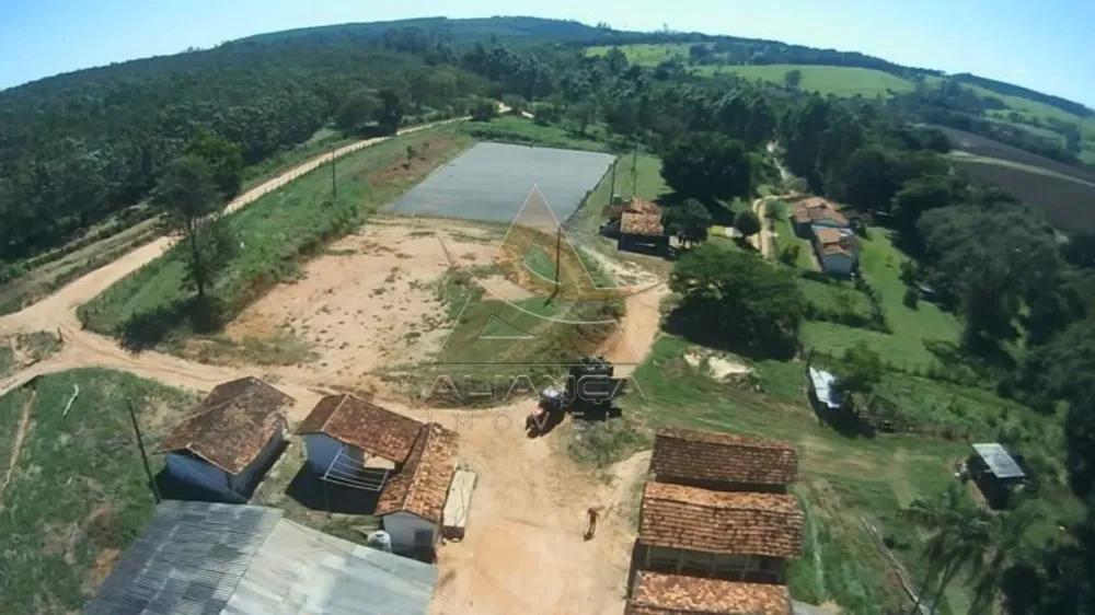 Fazenda, 346 hectares - Foto 8