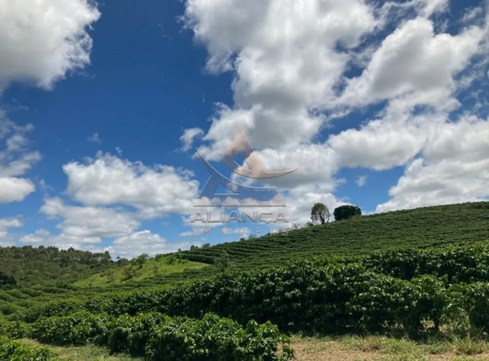 Fazenda, 346 hectares - Foto 2