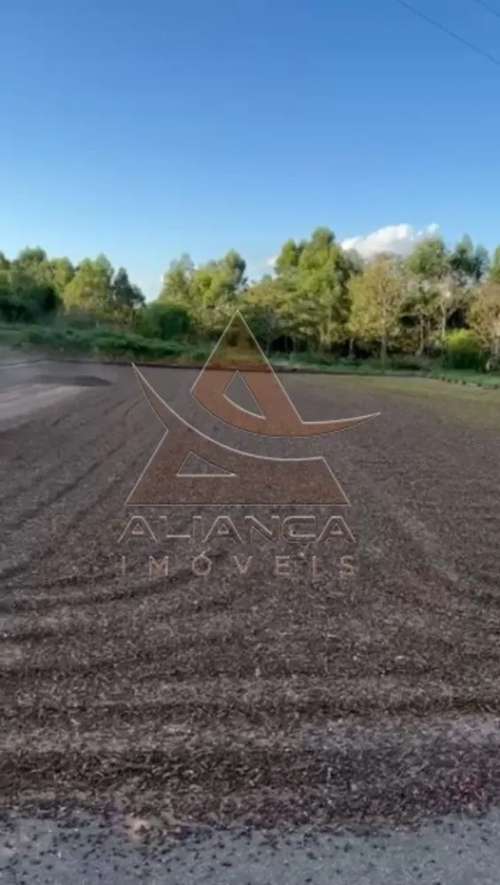 Fazenda, 346 hectares - Foto 4