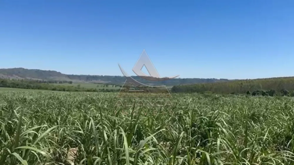 Fazenda, 44 hectares - Foto 8