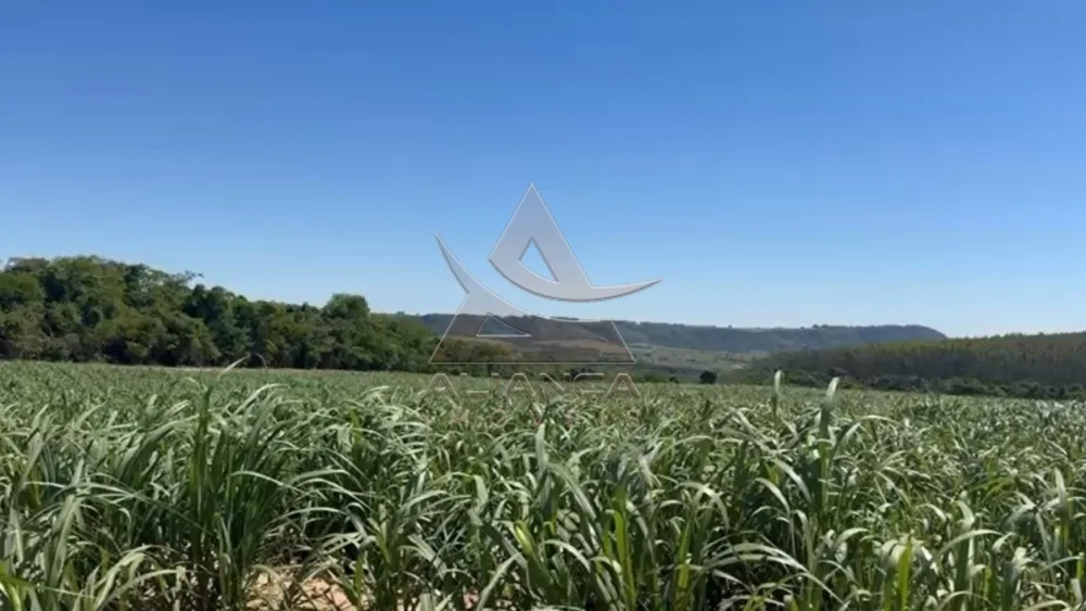 Fazenda, 44 hectares - Foto 4