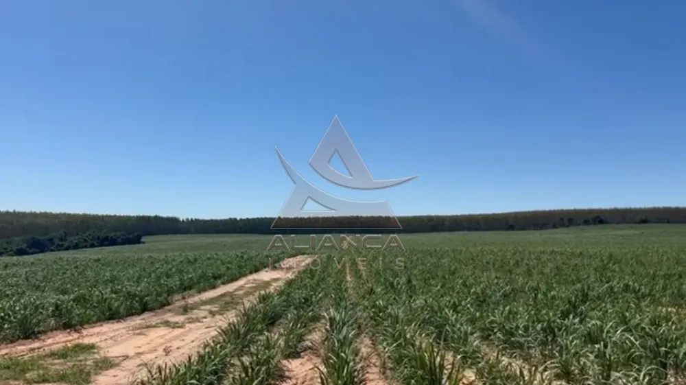 Fazenda, 44 hectares - Foto 2