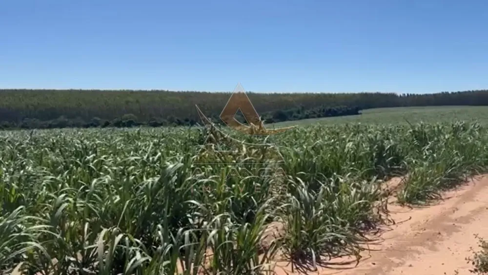 Fazenda, 44 hectares - Foto 1