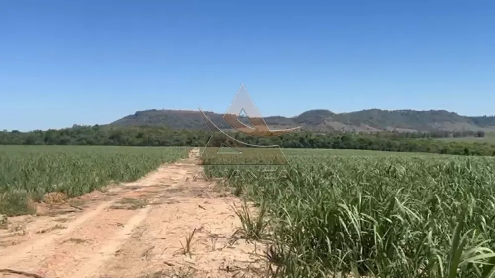 Fazenda, 44 hectares - Foto 3