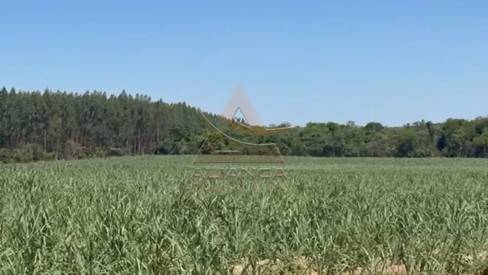 Fazenda, 44 hectares - Foto 1