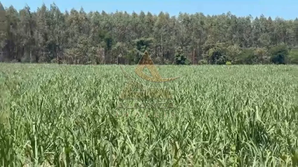 Fazenda, 44 hectares - Foto 3