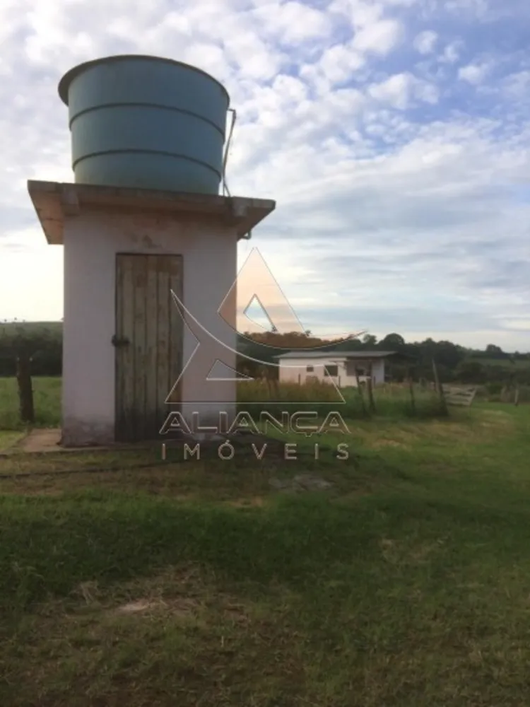 Sítio, 4 quartos, 12 hectares - Foto 8