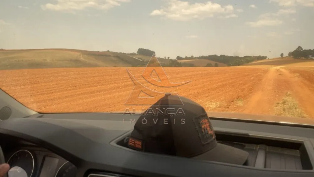 Fazenda, 218 hectares - Foto 3