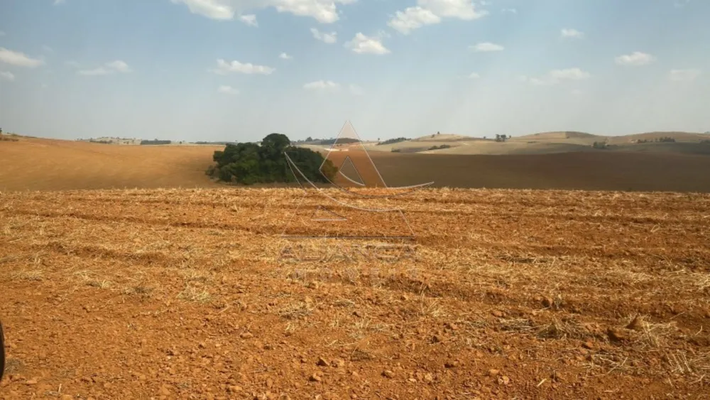 Fazenda, 218 hectares - Foto 1