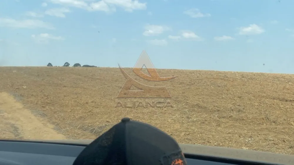 Fazenda, 218 hectares - Foto 4