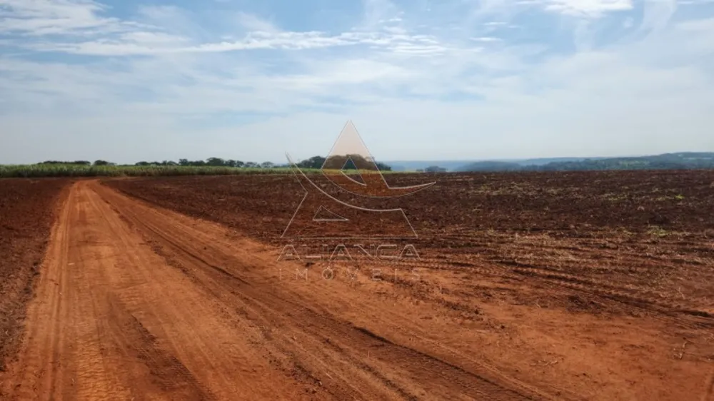 Fazenda, 174 hectares - Foto 2