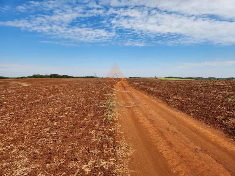 Fazenda, 174 hectares - Foto 3