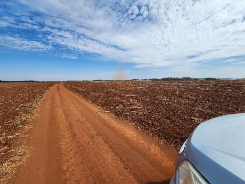 Fazenda, 174 hectares - Foto 1