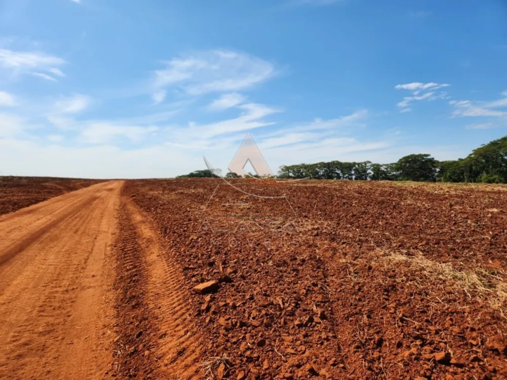 Fazenda, 174 hectares - Foto 4