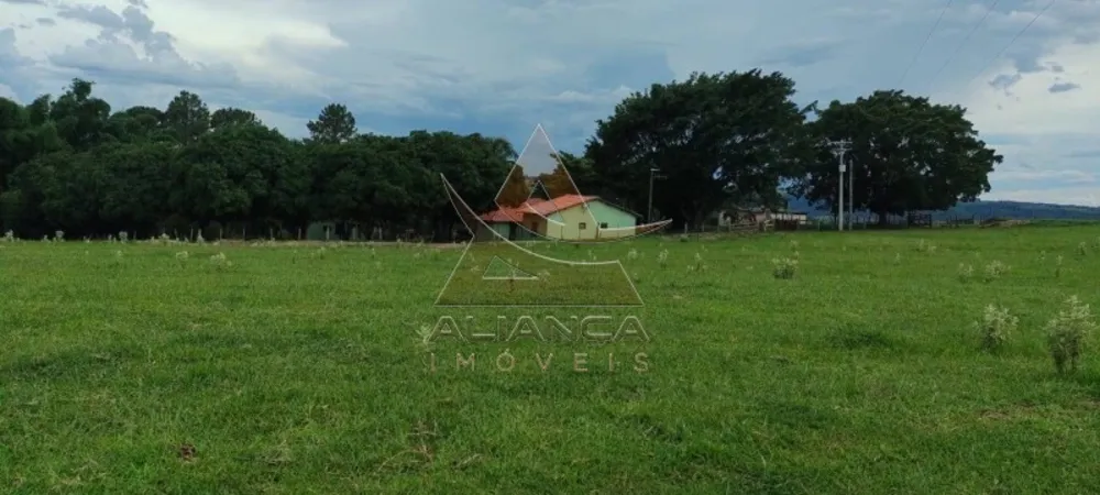 Fazenda, 519 hectares - Foto 1
