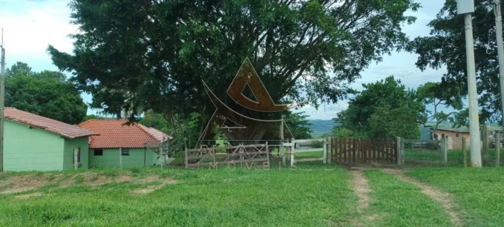 Fazenda, 519 hectares - Foto 3