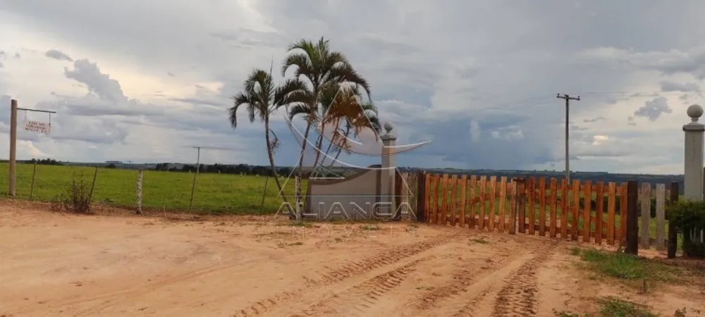 Fazenda, 519 hectares - Foto 4