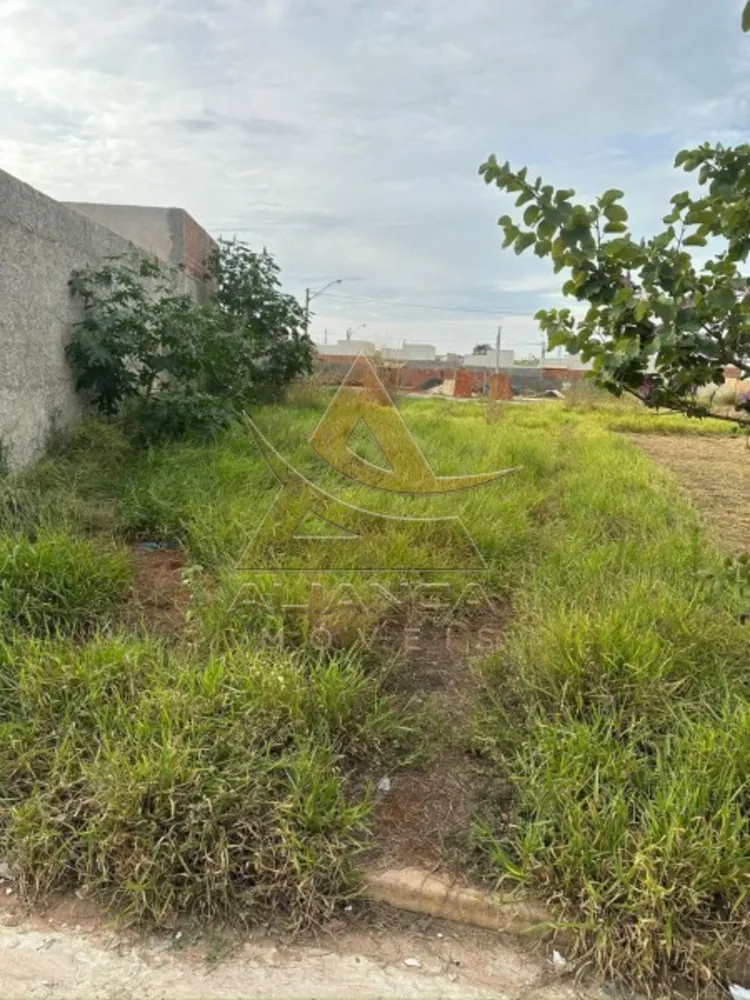 Terreno, 247 m² - Foto 1