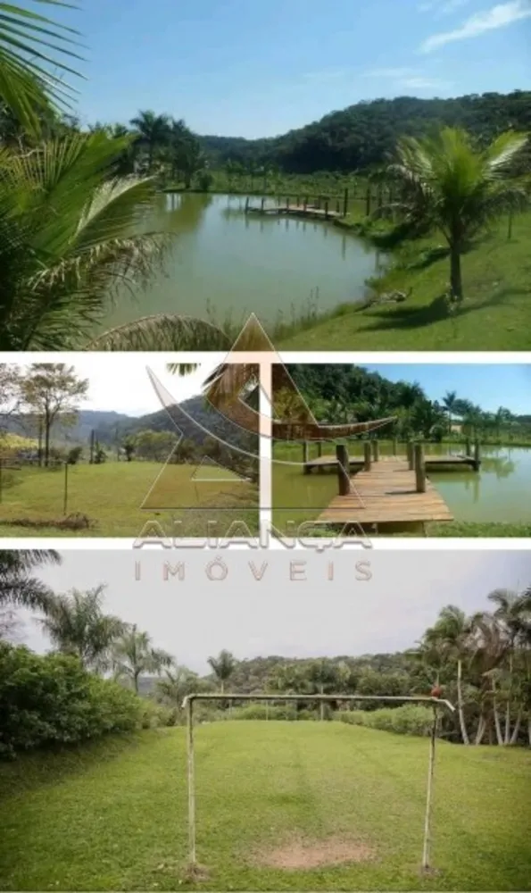 Fazenda, 290 hectares - Foto 4