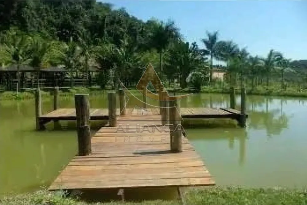 Fazenda, 290 hectares - Foto 3