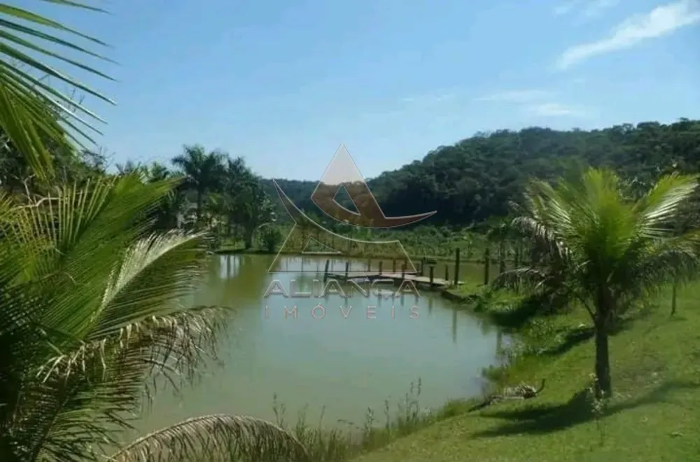Fazenda, 290 hectares - Foto 2