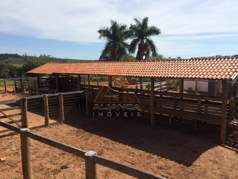 Fazenda, 335 hectares - Foto 4