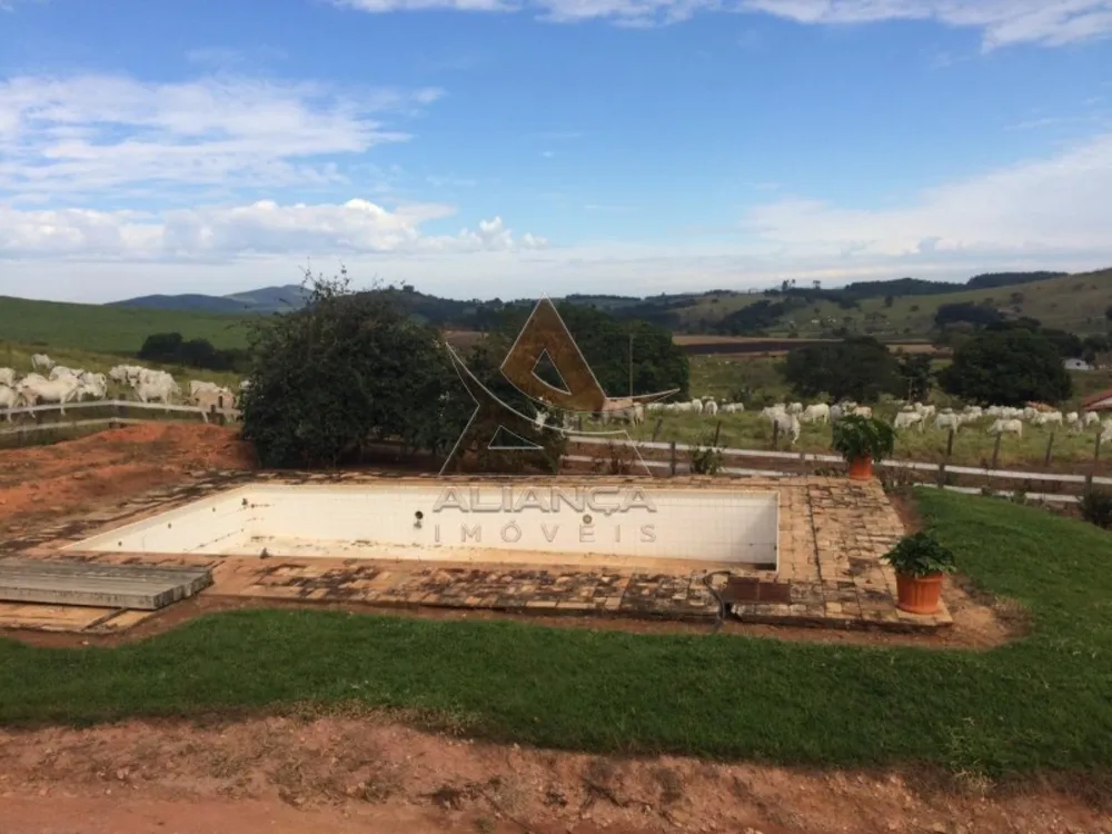 Fazenda, 335 hectares - Foto 6