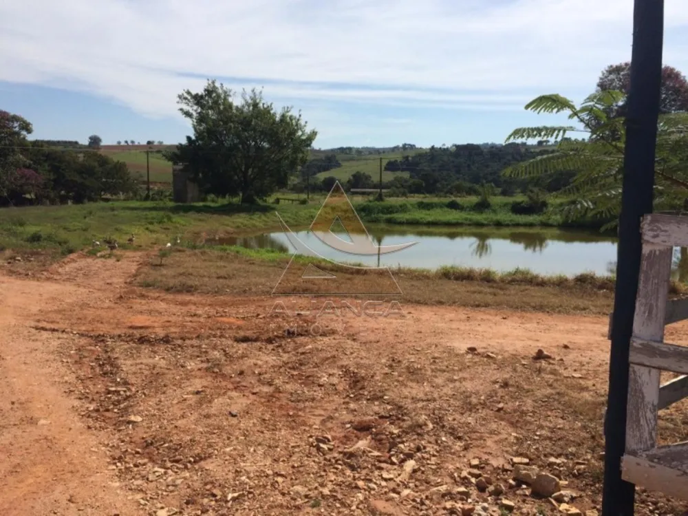 Fazenda, 335 hectares - Foto 3